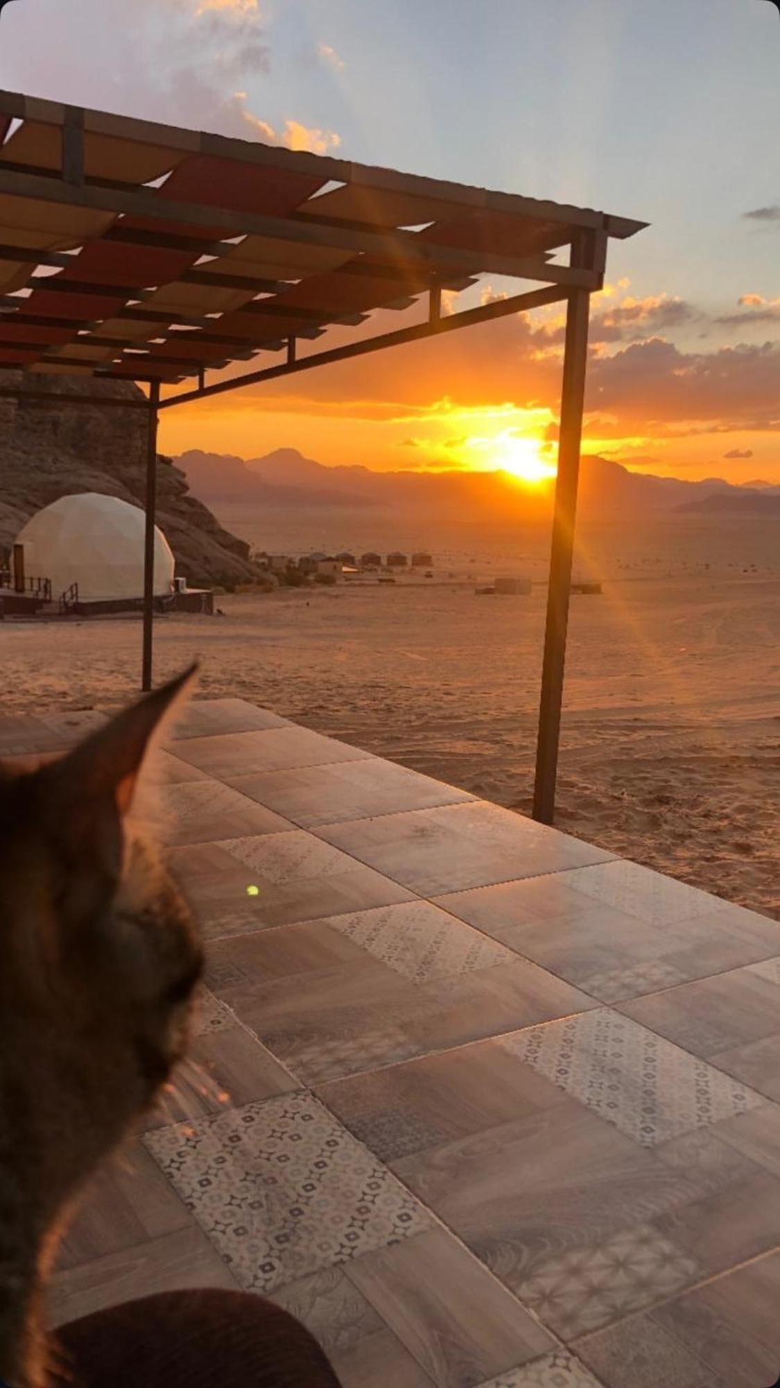 Wadi Rum Mars Camp Экстерьер фото